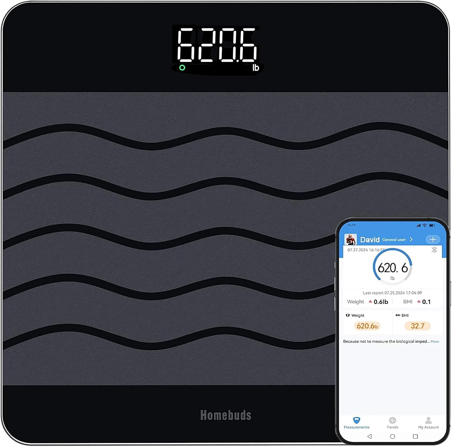 Homebuds Digital Scale (660 lb)